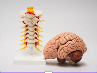 Brain disorders